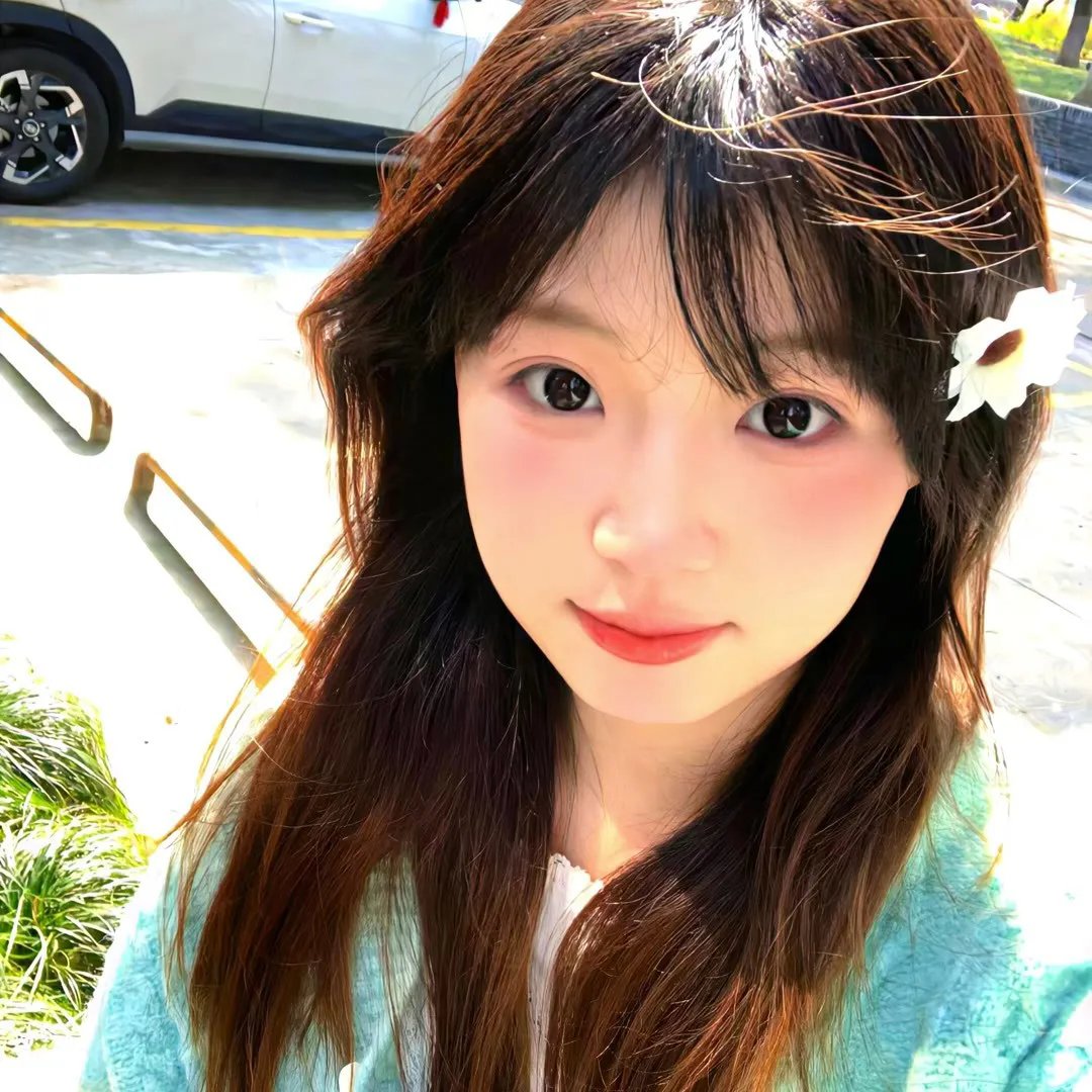屋顶上的猫
